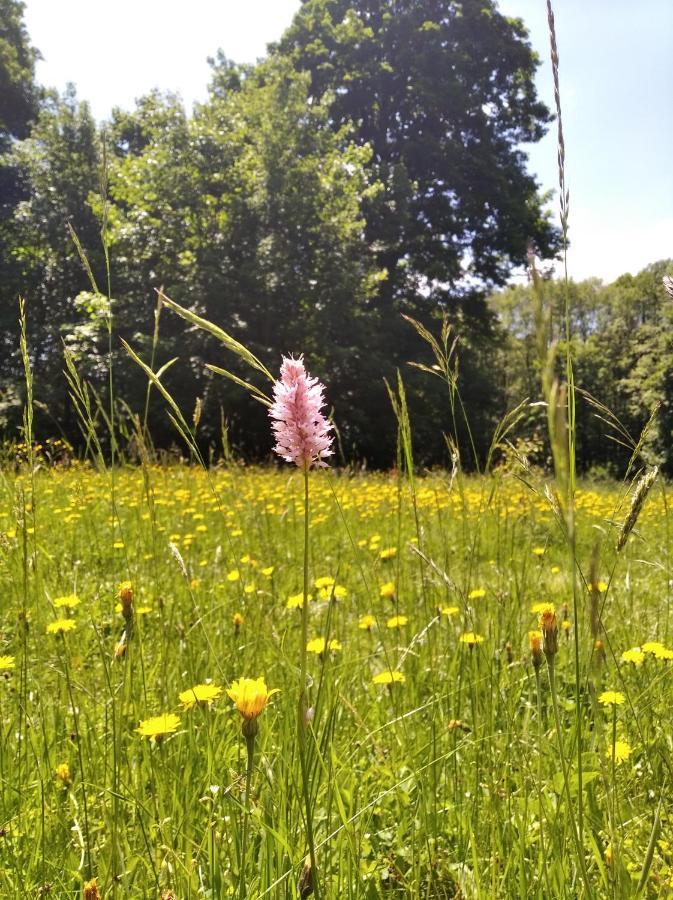 Výprachtice Celorocni Glamping V Pohodlnem Domecku 빌라 외부 사진