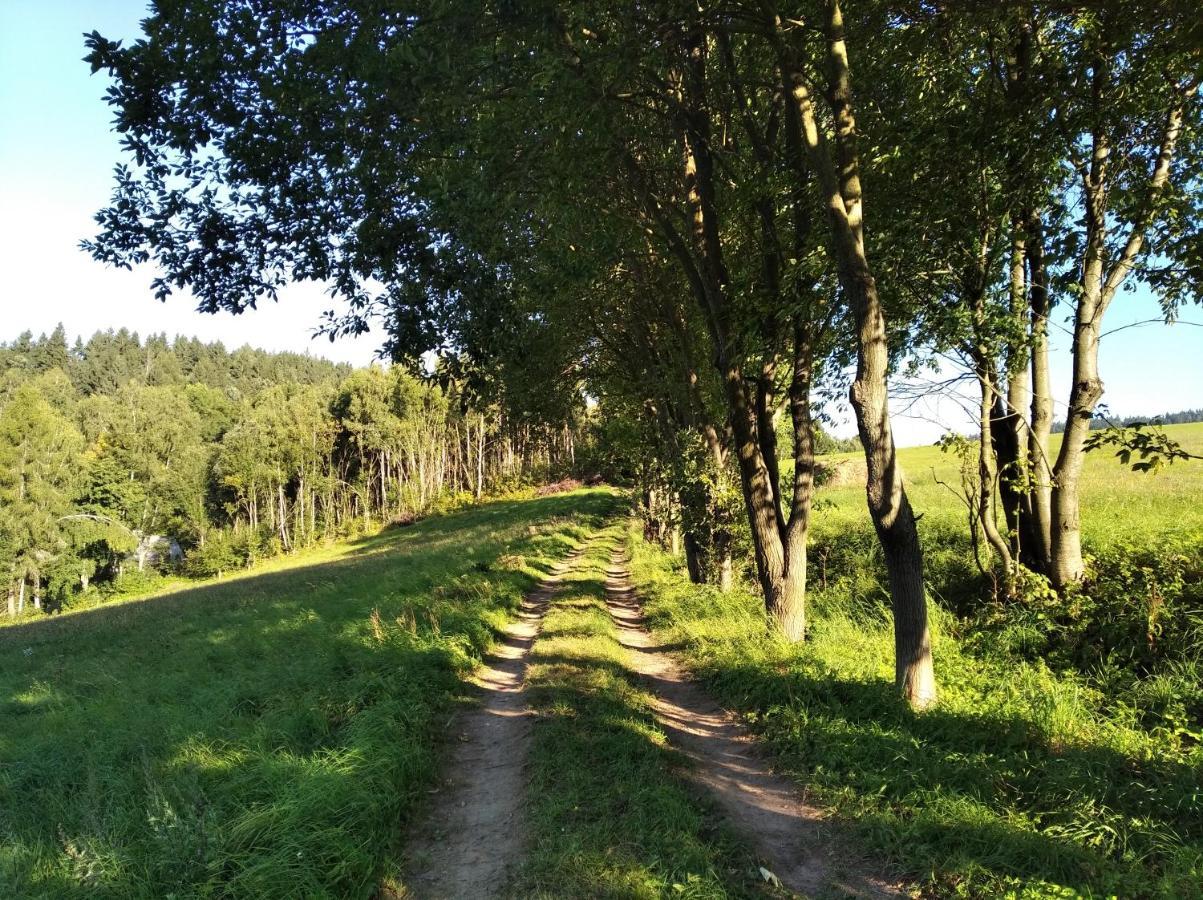 Výprachtice Celorocni Glamping V Pohodlnem Domecku 빌라 외부 사진